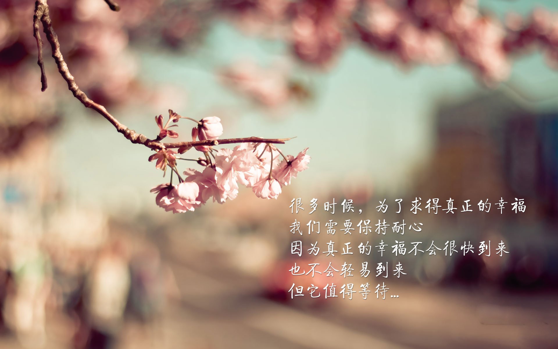 沙漠马拉松：勇闯荒漠的无畏挑战，2021沙漠马拉松