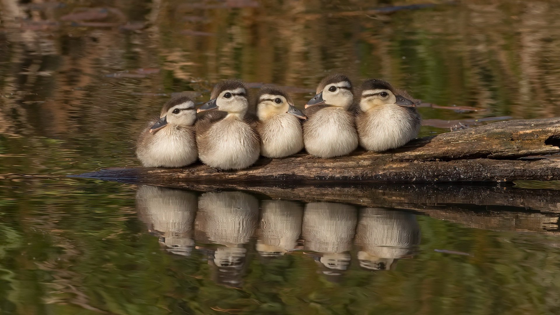 爱游戏手机版-火热对抗：本赛季最激烈的对决全纪录，热火晋级总决赛之路