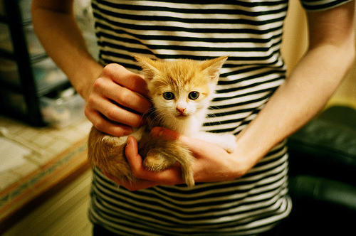 ayx-皇马战术革新：快速切换，反击犀利，连续几场大胜，皇马战绩如何