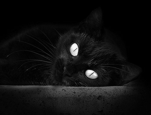 青少年“篮球青春行”公益巡展在全国多个城市持续火热，推动全民健身