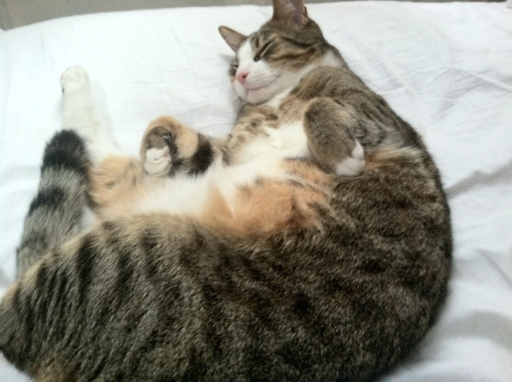 爱游戏登录入口-青年天才崭露头角，点燃联赛激情，天才年轻球员