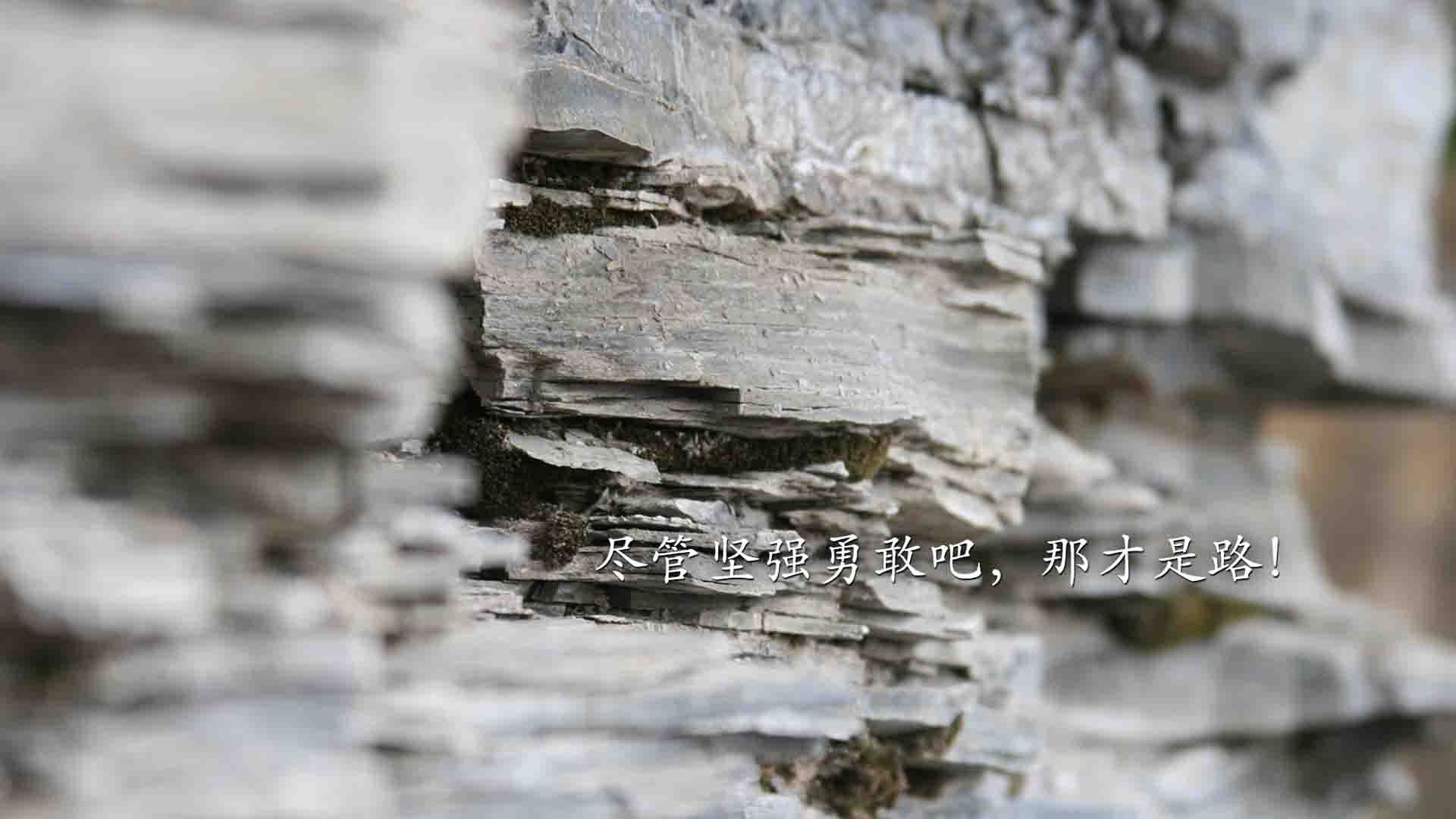 爱游戏多端接入-多特蒙德球员突破记录，助球队取得关键胜利，多特蒙德优秀球员