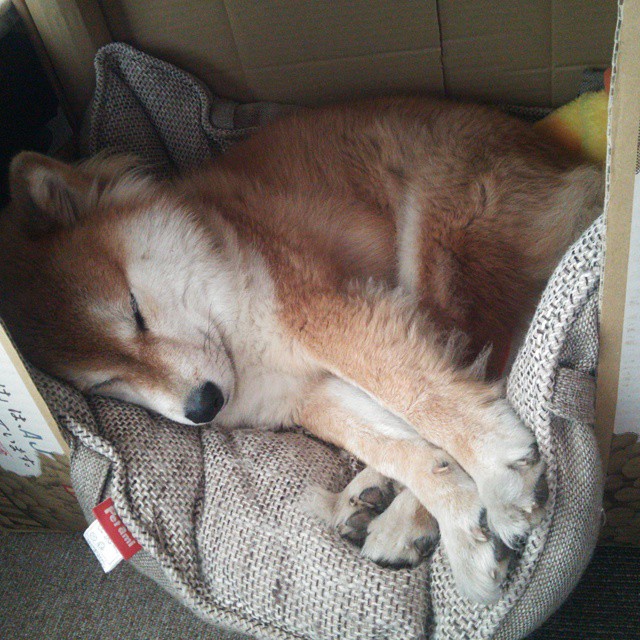 实力悬殊难挑战，球队整体表现稳中有升，球队实力分析