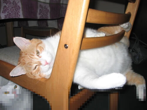 爱游戏下载-拉齐奥客场大胜，凯塔尔等球员表现亮眼，拉齐奥集锦