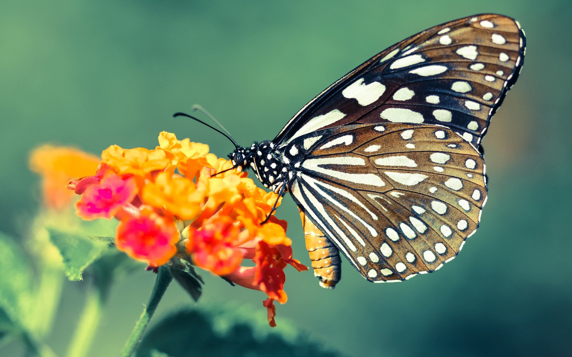 日本队防守端表现稳定，失球数大幅减少，日本队控球能力为何强