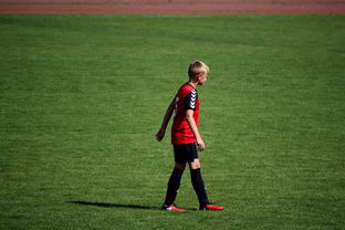 爱游戏资讯-世界青年滑板锦标赛中国少年夺奖，青少年滑板联赛