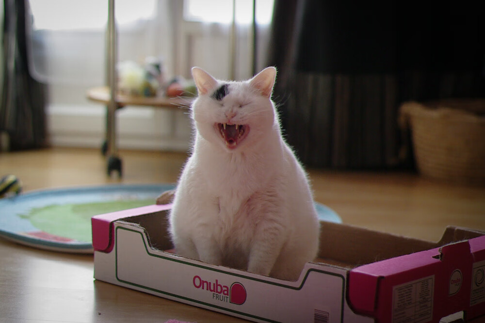 中国篮球青训体系课程标准化建设，青少年篮球培训课程体系